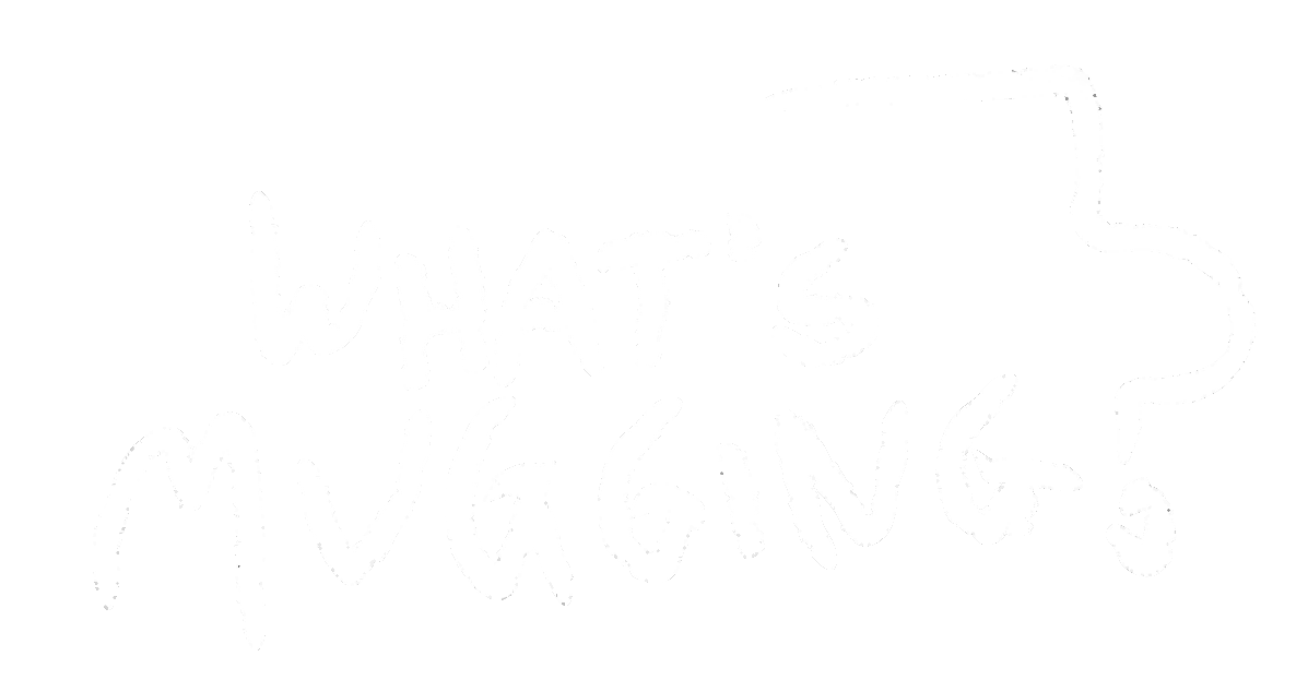WHAT'S MUGGING?